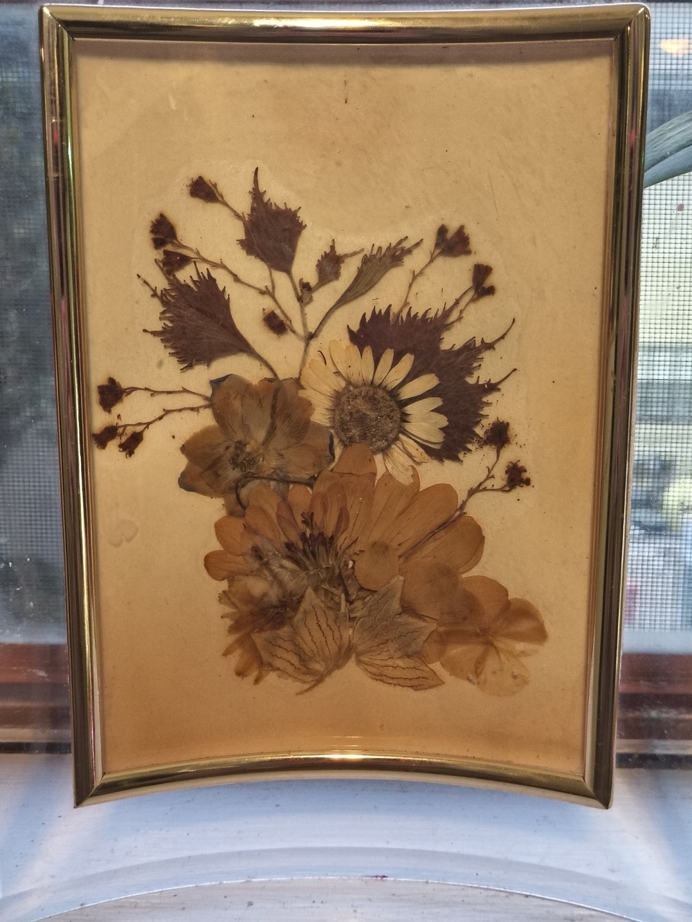 Vintage Lucite Acrylic Pressed Flower Picture Frame Mid Century Modern Decor